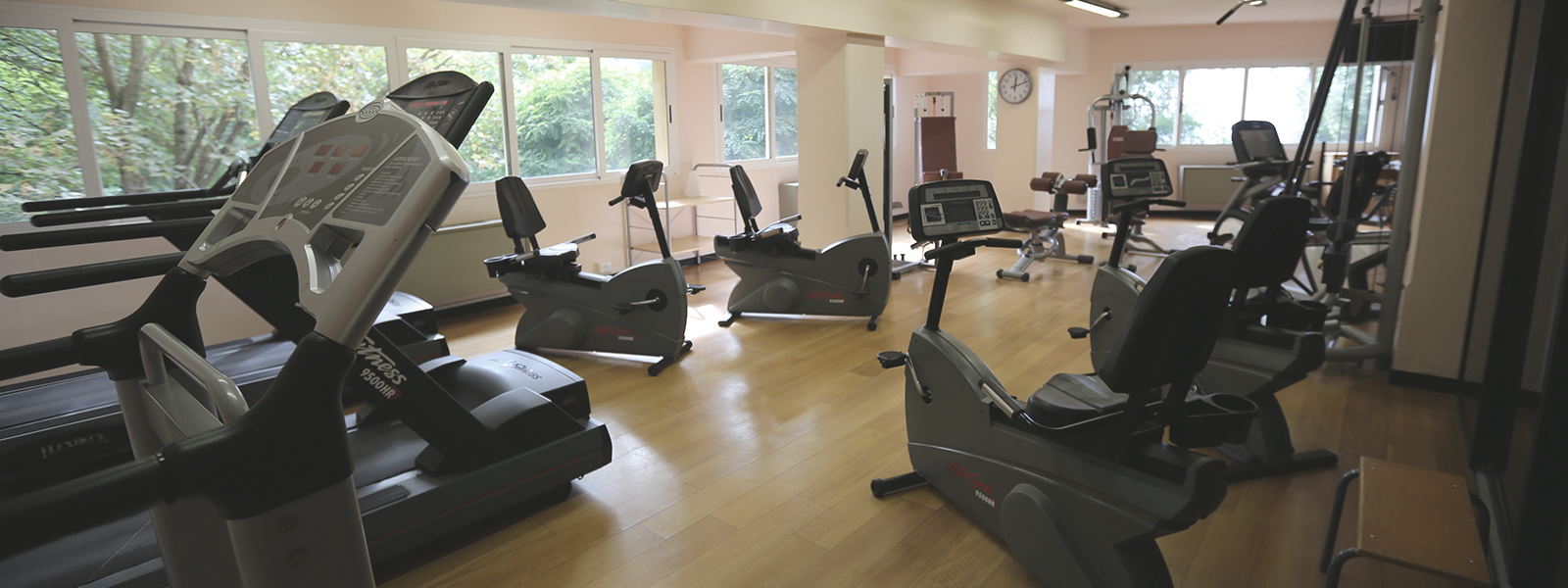  colonia arnaldi hotel benessere in Liguria area fitness e palestra